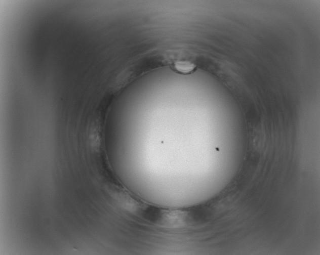 X0000069800226200605261731