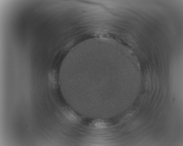 X0000069800228200605261731