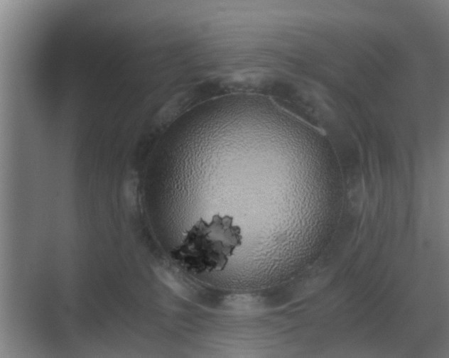 X0000069800231200605261731