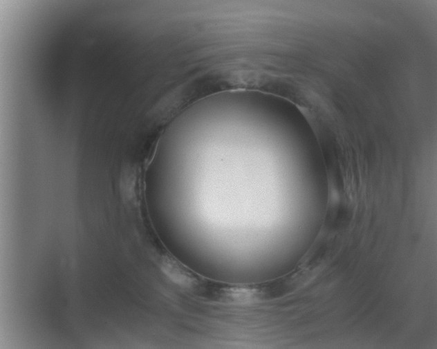 X0000069800233200605261731