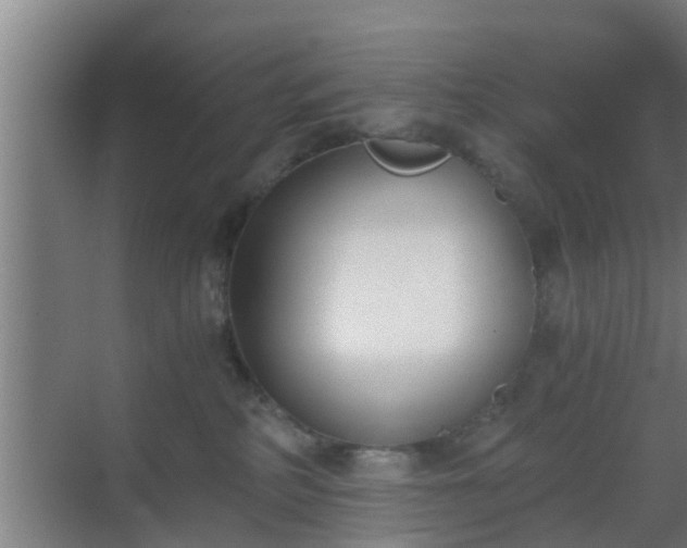 X0000069800234200605261731