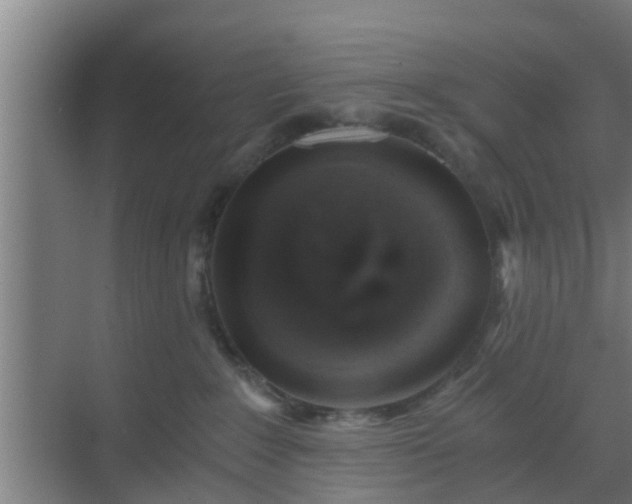 X0000069800235200605261731