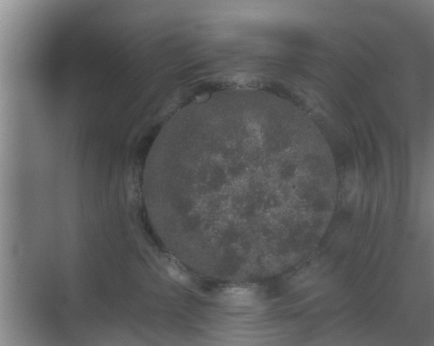 X0000069800236200605261731