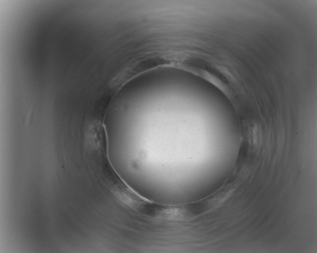 X0000069800237200605261731