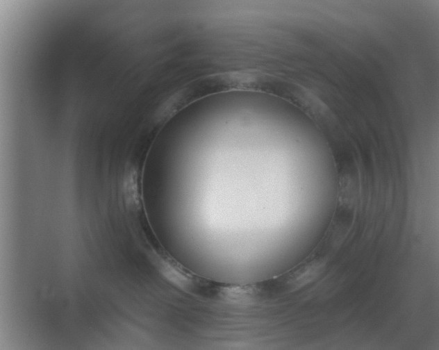 X0000069800238200605261731