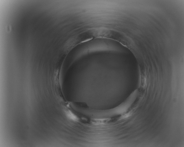 X0000069800239200605261731