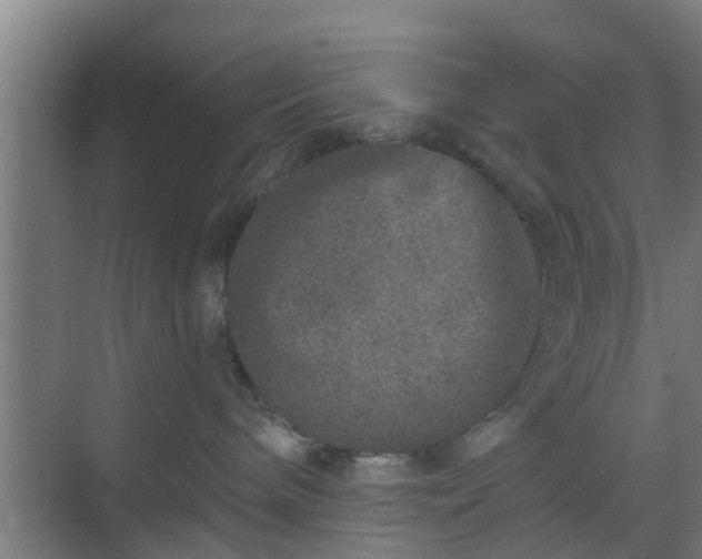 X0000069800240200605261731