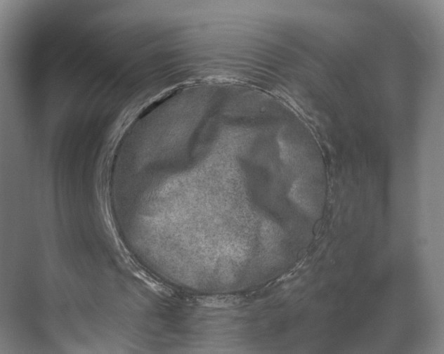 X0000069800241200605261730