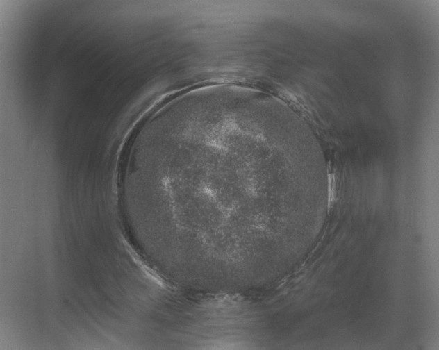 X0000069800243200605261730