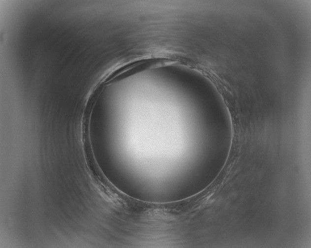 X0000069800244200605261730