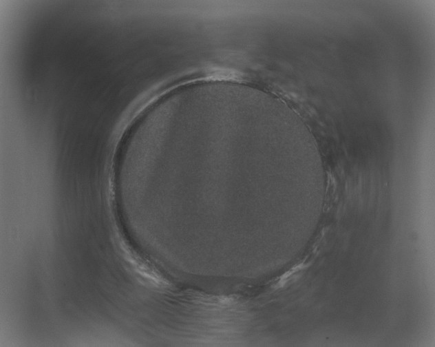 X0000069800247200605261730