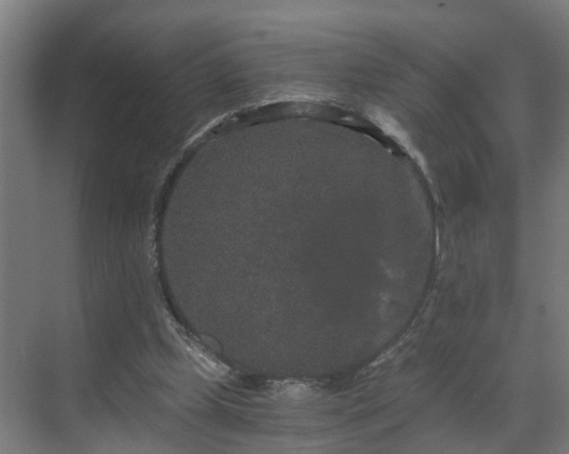 X0000069800249200605261730