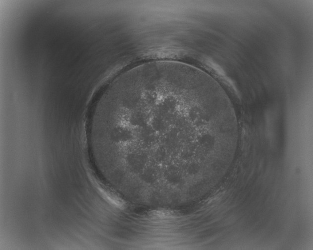 X0000069800250200605261730