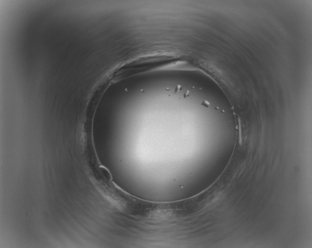 X0000069800252200605261730