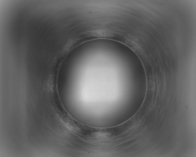 X0000069800255200605261730