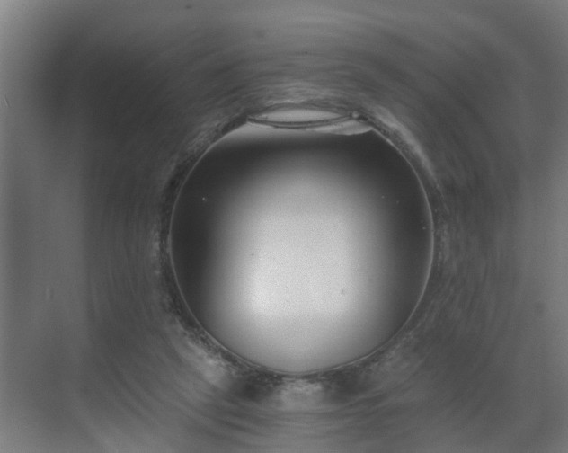 X0000069800257200605261730