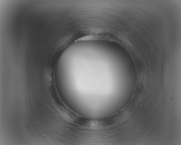 X0000069800264200605261730