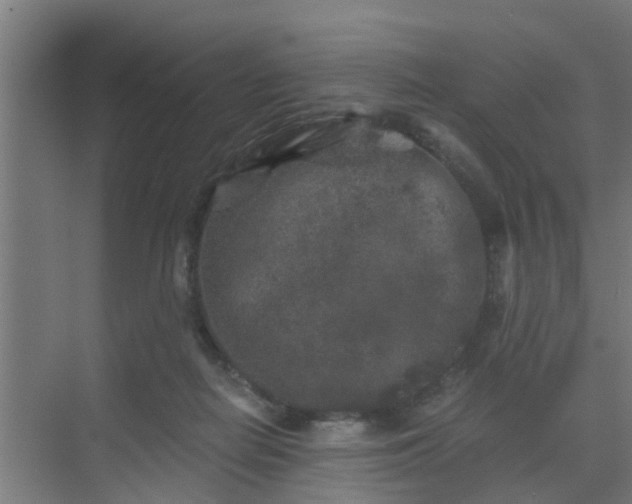 X0000069800266200605261730