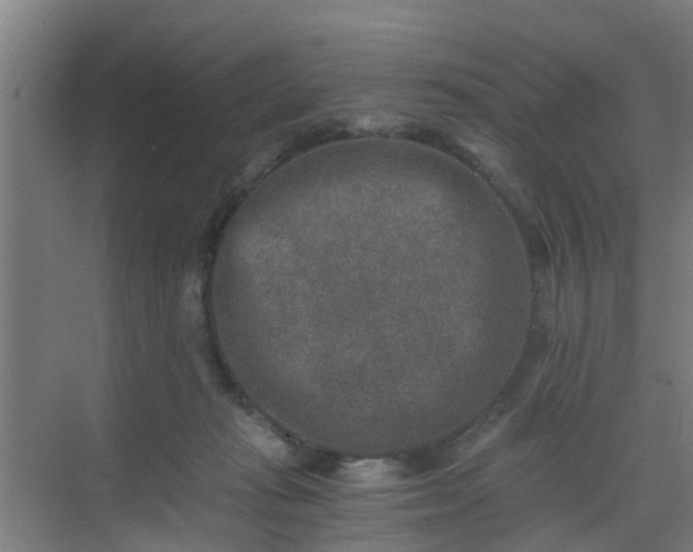 X0000069800269200605261730