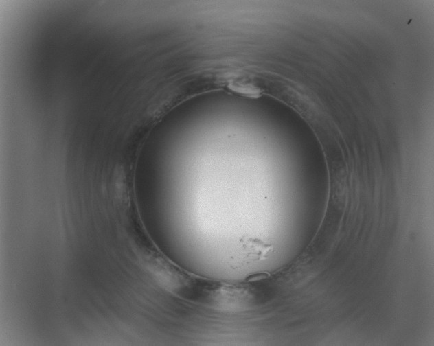 X0000069800270200605261730