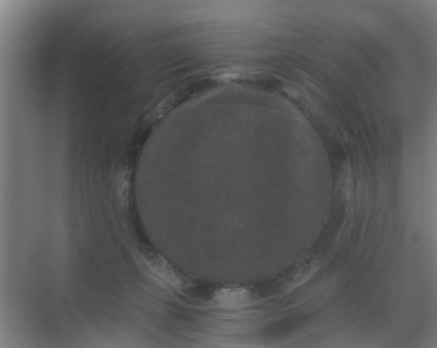 X0000069800271200605261730