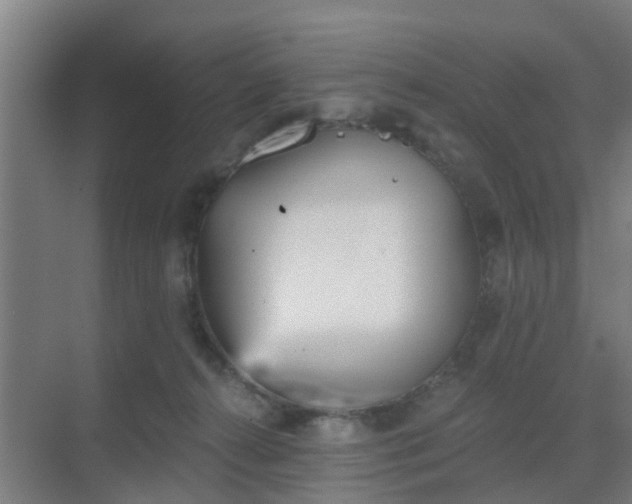 X0000069800272200605261730