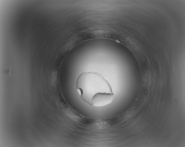 X0000069800278200605261730