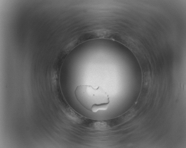 X0000069800279200605261730