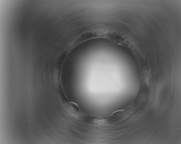 X0000069800283200605261730