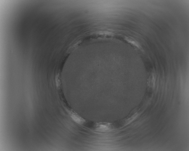 X0000069800285200605261731