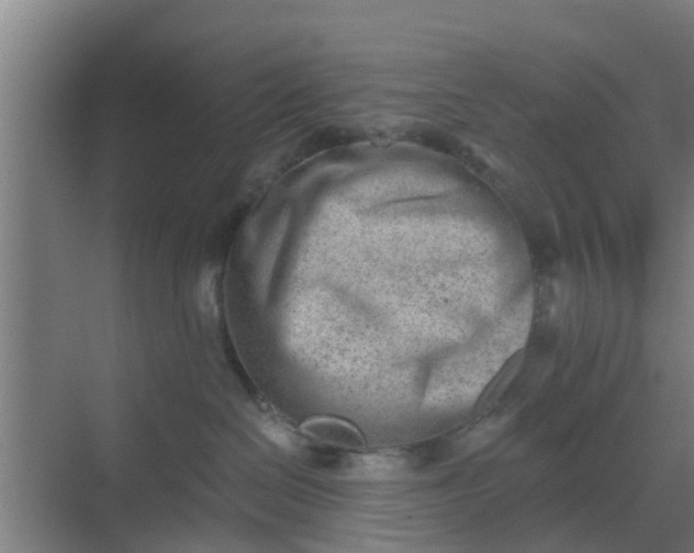 X0000069800286200605261731