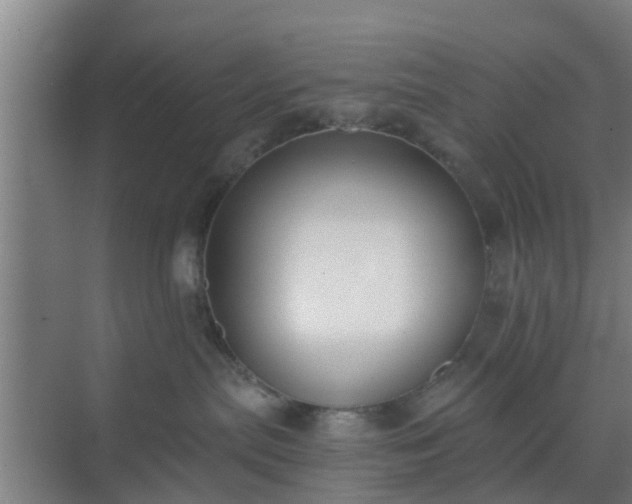 X0000069800287200605261731