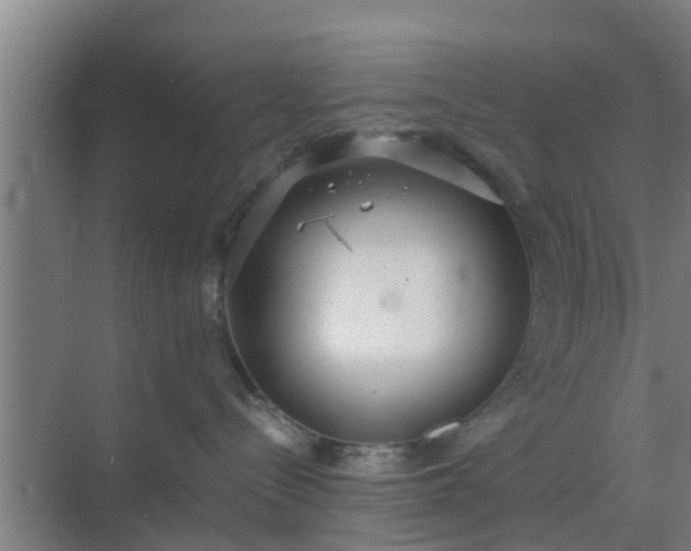 X0000069800288200605261731