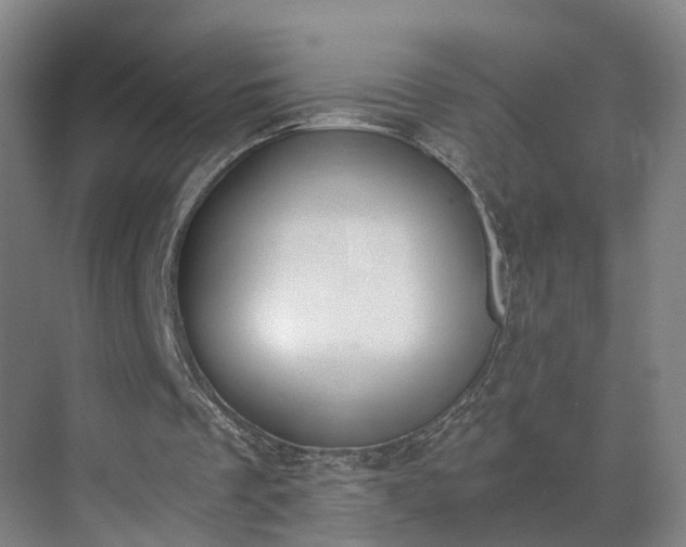 X0000069800289200605261730