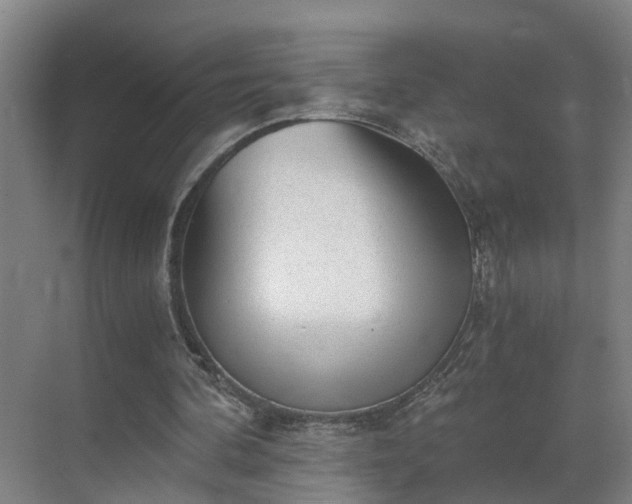 X0000069800292200605261730