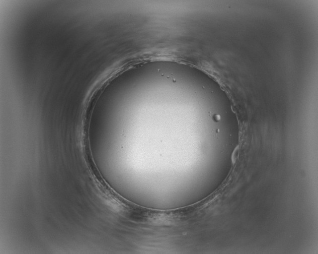 X0000069800293200605261730