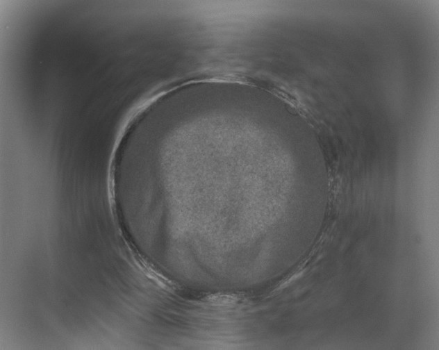 X0000069800294200605261730