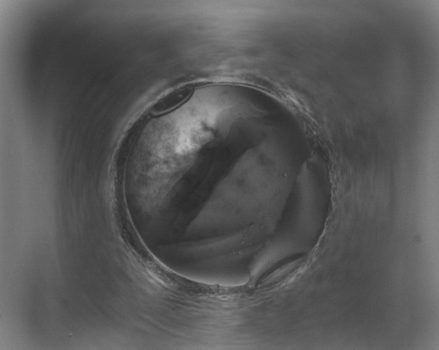 X0000069800295200605261730