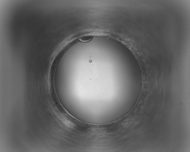 X0000069800296200605261730