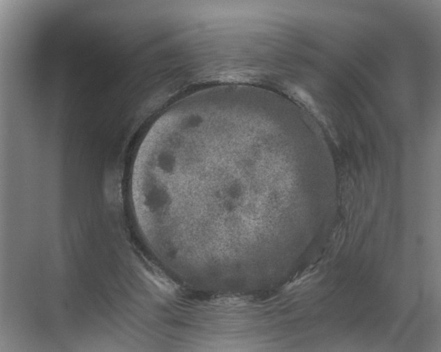 X0000069800299200605261730