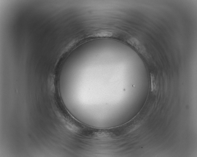 X0000069800300200605261730