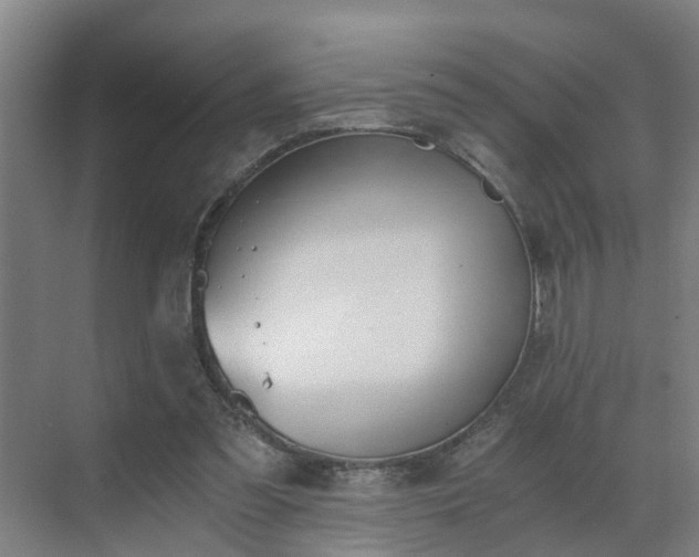 X0000069800301200605261730