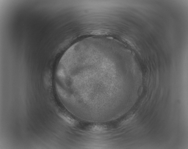 X0000069800303200605261730