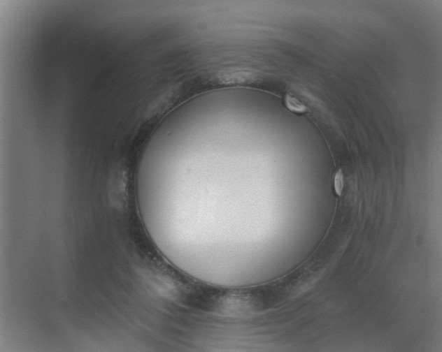 X0000069800308200605261729