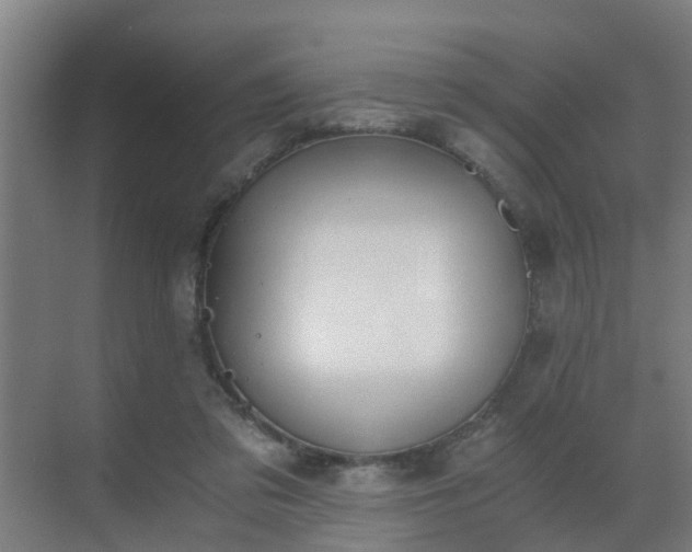 X0000069800309200605261729