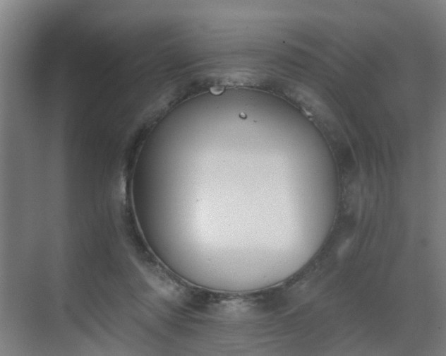 X0000069800310200605261729