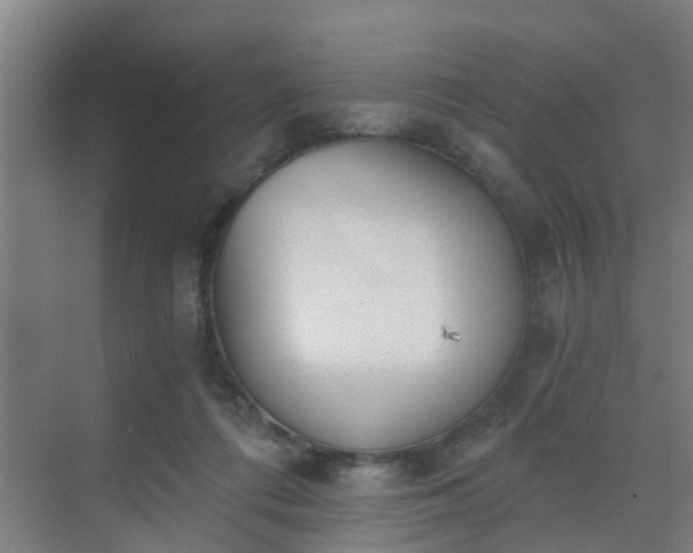 X0000069800312200605261729