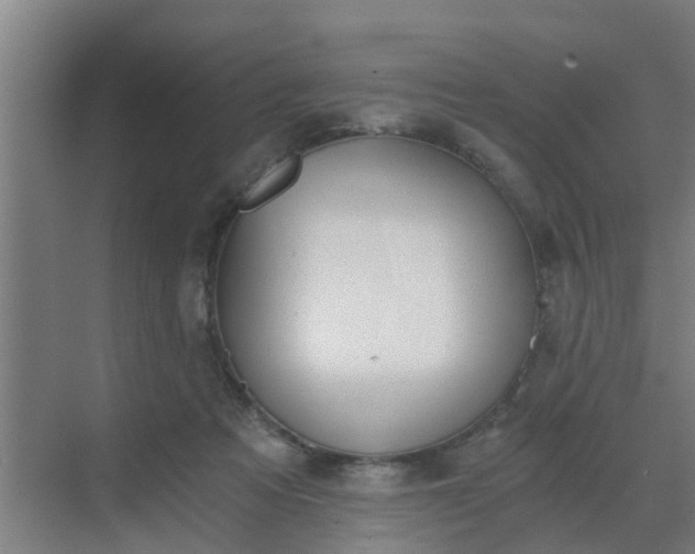 X0000069800313200605261729