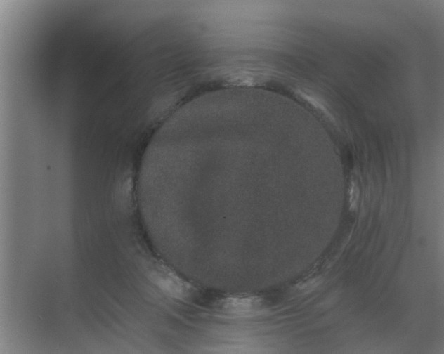 X0000069800314200605261729