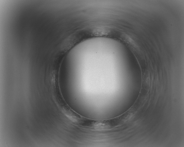 X0000069800315200605261729